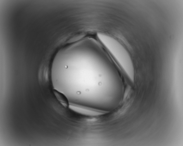 X0000089880068200707192004