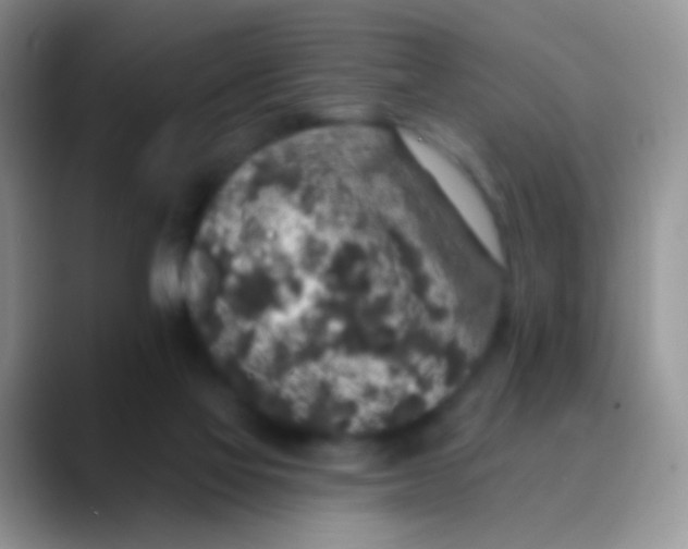 X0000089880069200707192004