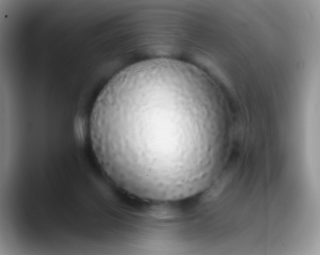 X0000089880070200707192004