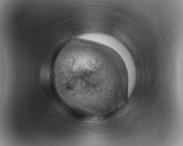 X0000089880072200707192004