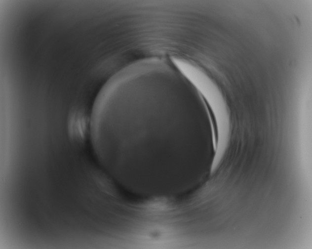 X0000089880076200707192004