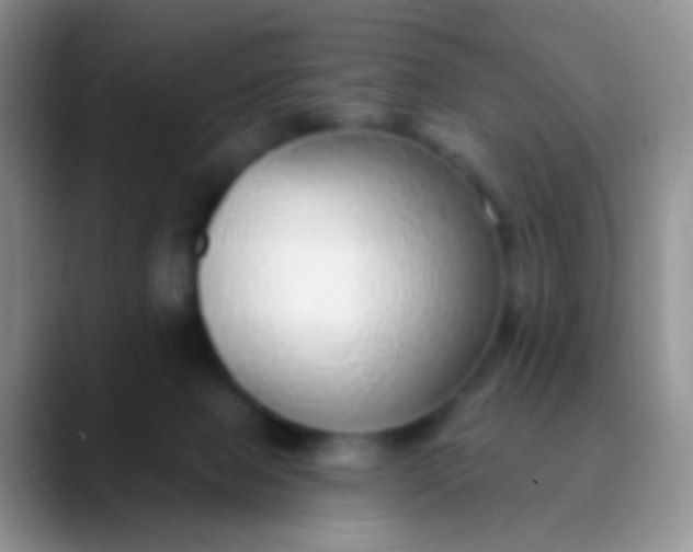 X0000089880077200707192004