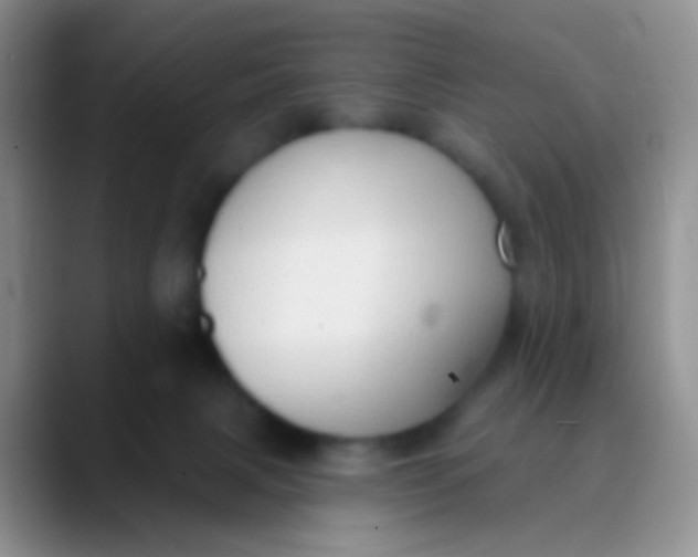 X0000089880079200707192004