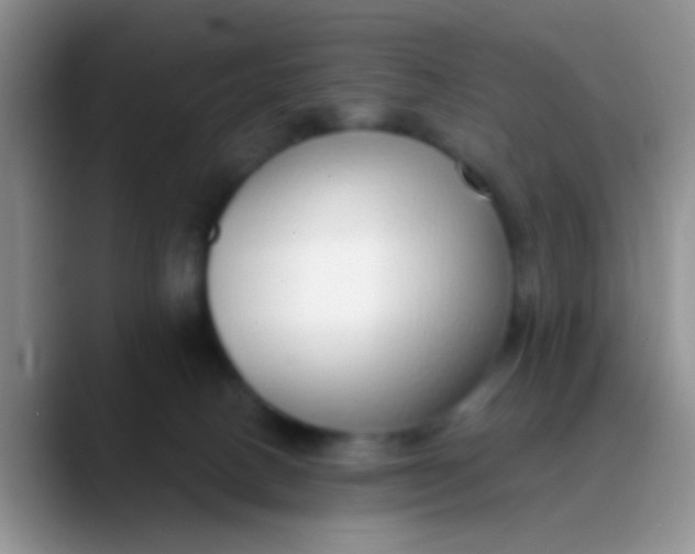 X0000089880082200707192004