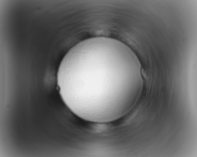 X0000089880085200707192004