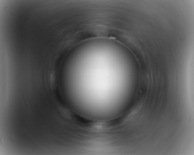 X0000089880088200707192004