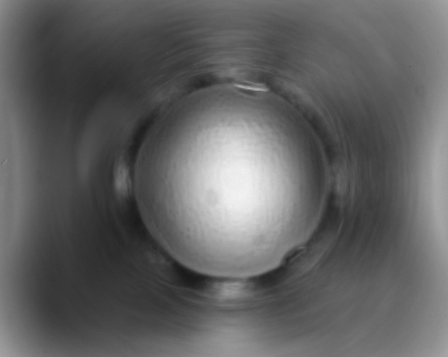 X0000089880089200707192004