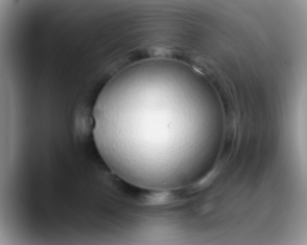 X0000089880090200707192004