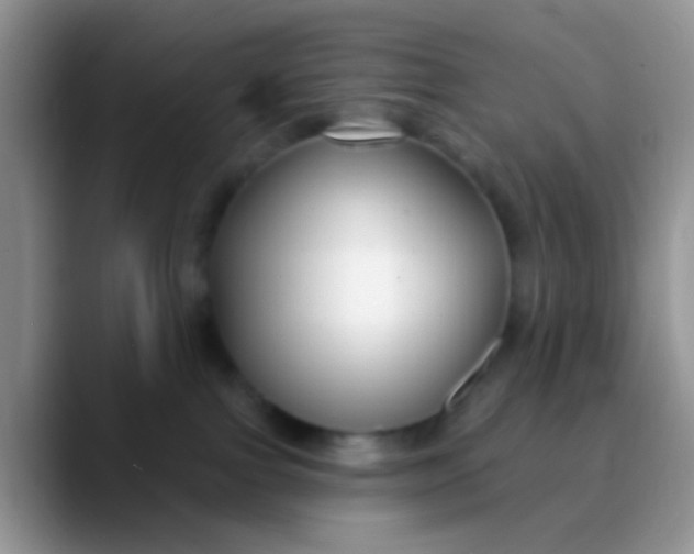 X0000089880091200707192004