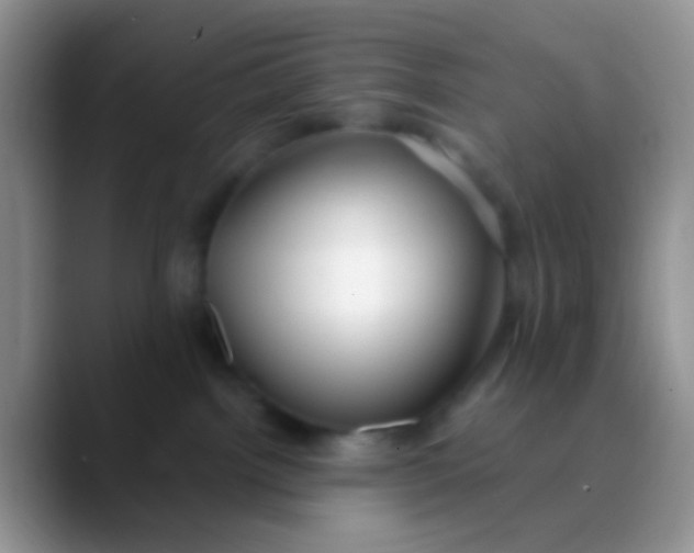 X0000089880092200707192004