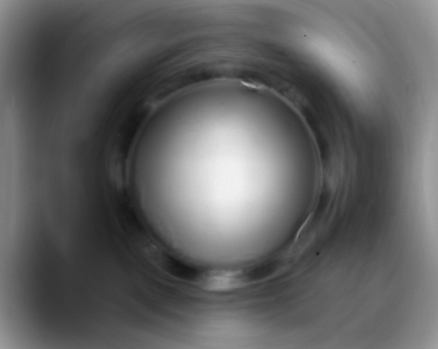 X0000089880093200707192004