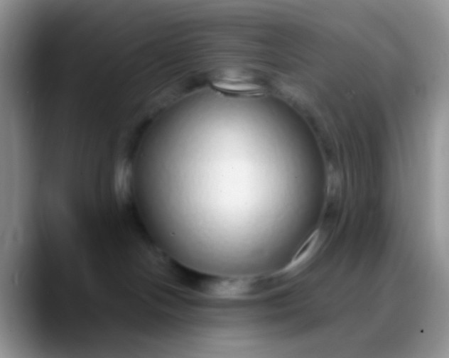 X0000089880094200707192004