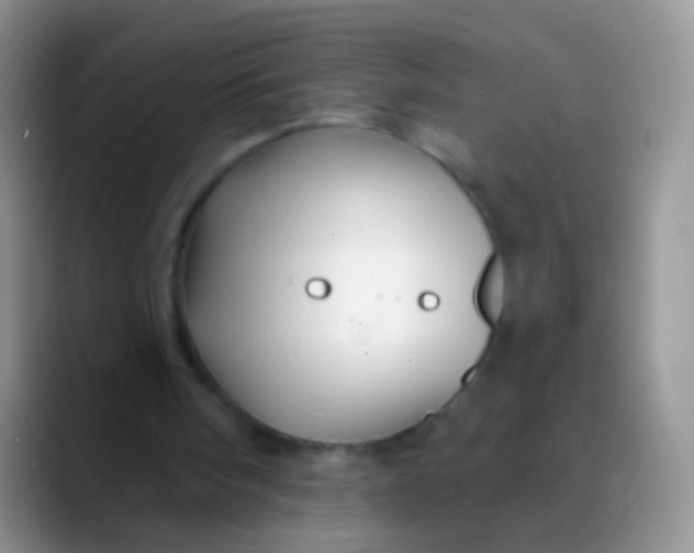 X0000089880098200707192003