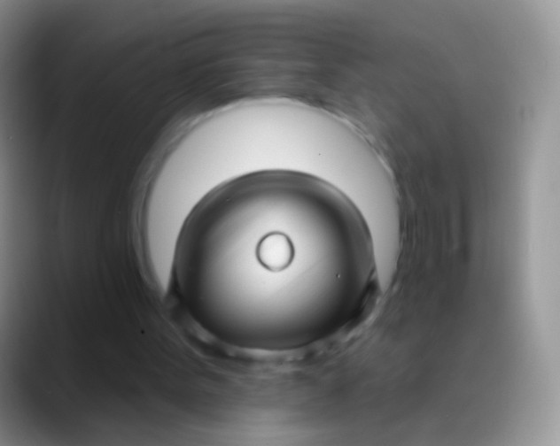 X0000089880099200707192003