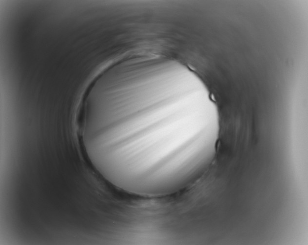 X0000089880100200707192003