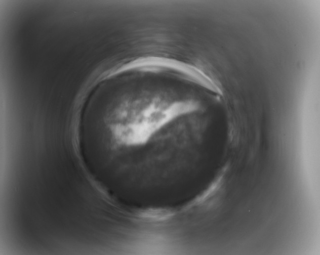 X0000089880101200707192003