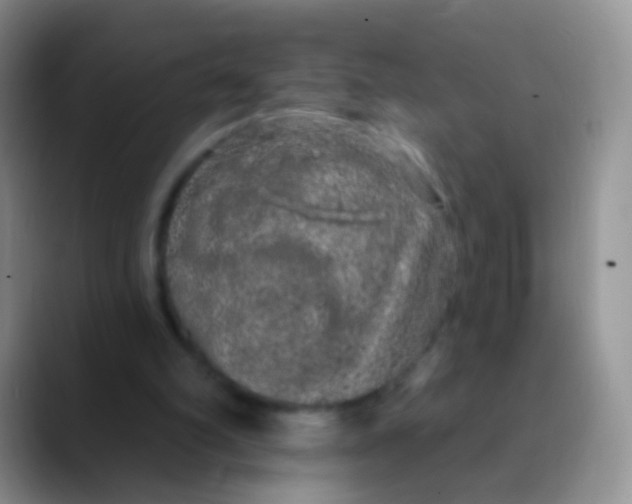 X0000089880102200707192003