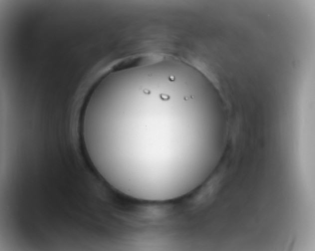 X0000089880103200707192003