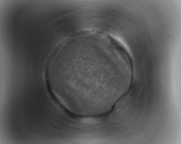 X0000089880105200707192003