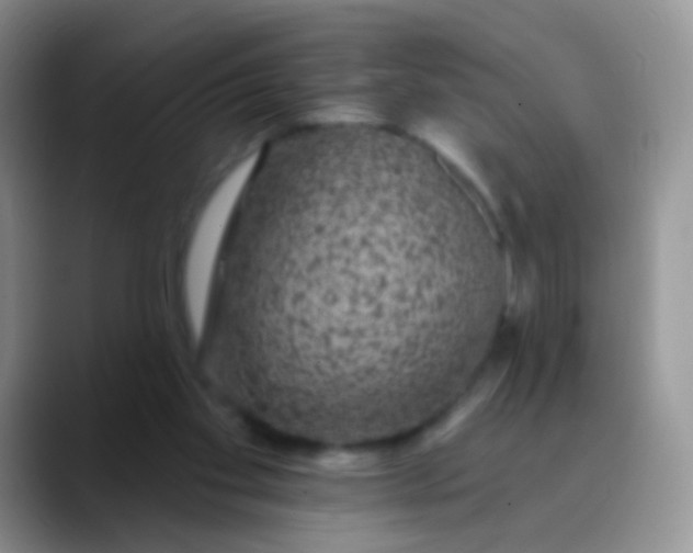 X0000089880109200707192003