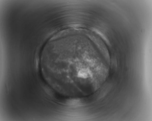 X0000089880110200707192003