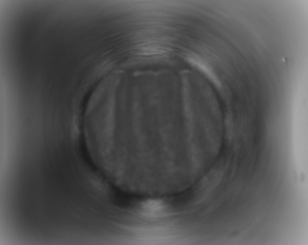 X0000089880114200707192003