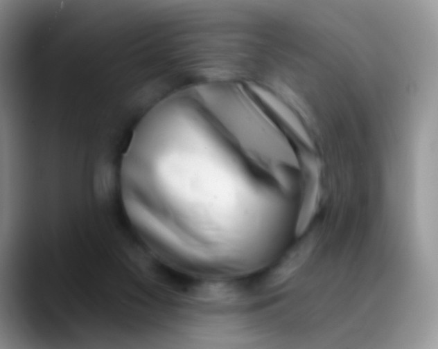 X0000089880117200707192003