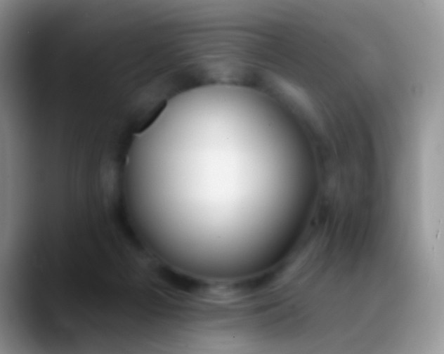 X0000089880121200707192003