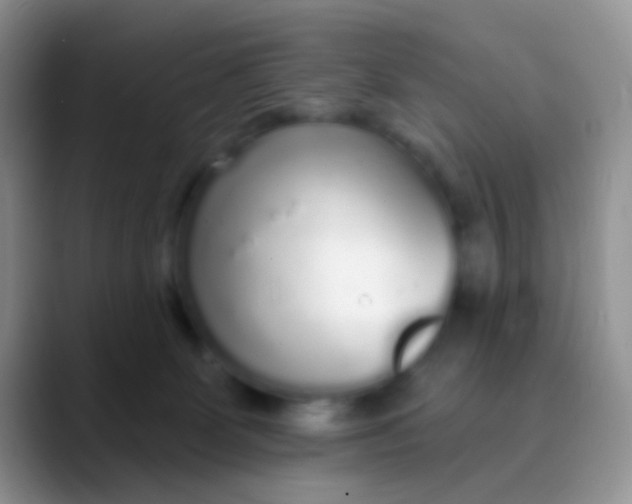 X0000089880131200707192003