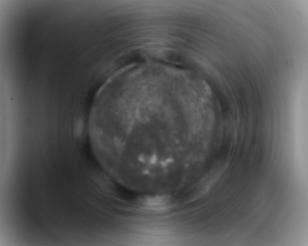 X0000089880134200707192003