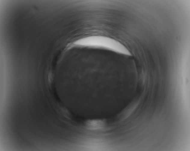 X0000089880137200707192003