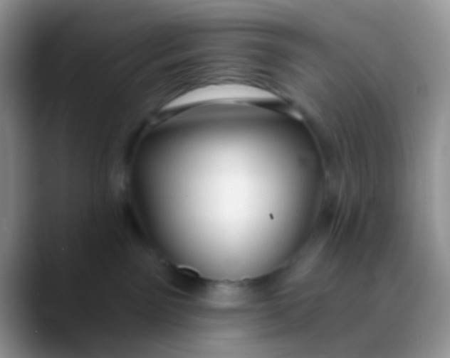 X0000089880141200707192003