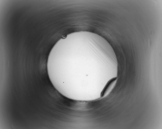 X0000089880144200707192003