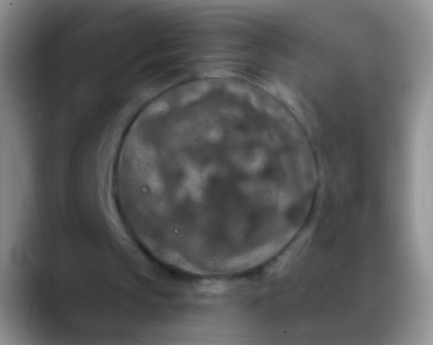 X0000089880145200707192002