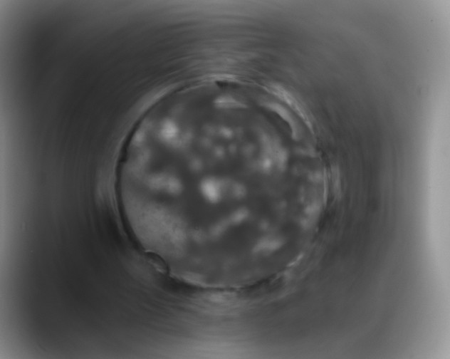 X0000089880147200707192002