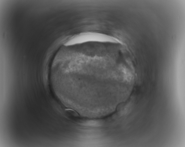 X0000089880149200707192002