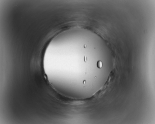 X0000089880150200707192002