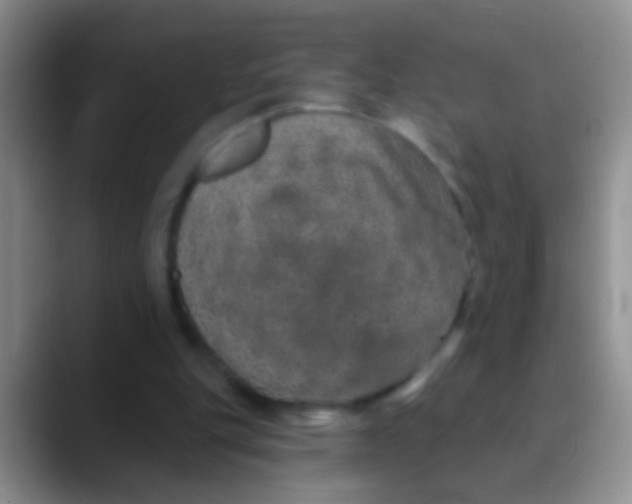 X0000089880151200707192002