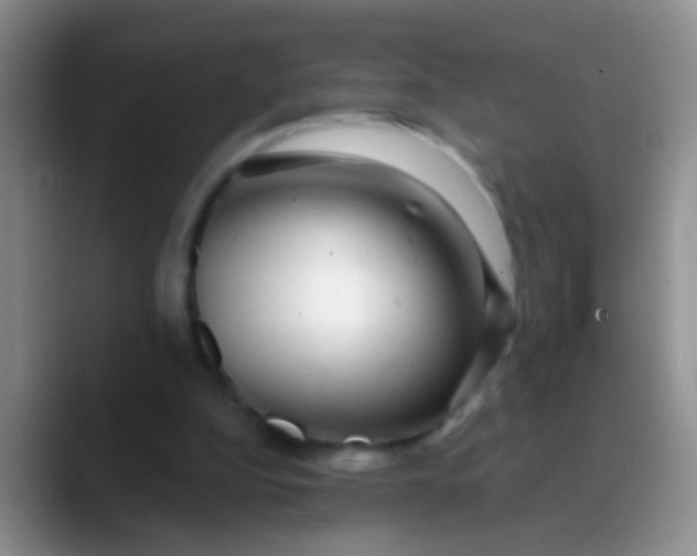 X0000089880152200707192002