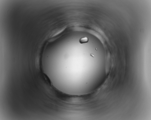 X0000089880154200707192002