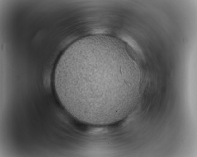 X0000089880155200707192002