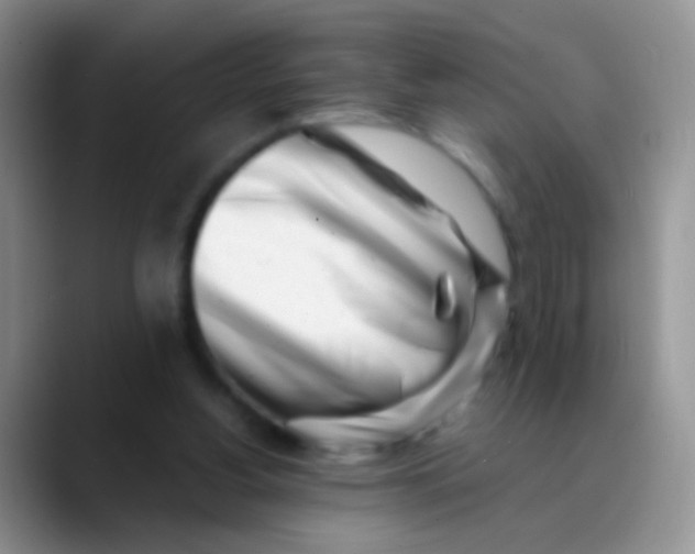 X0000089880156200707192002