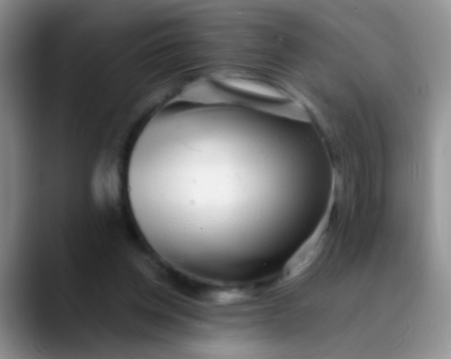 X0000089880158200707192002