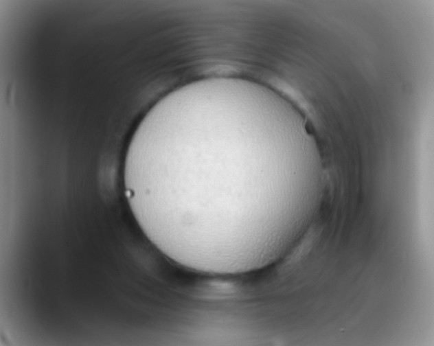 X0000089880159200707192002