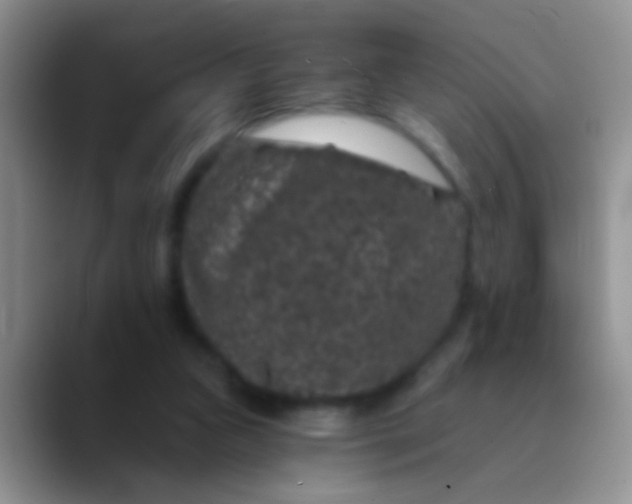 X0000089880161200707192002