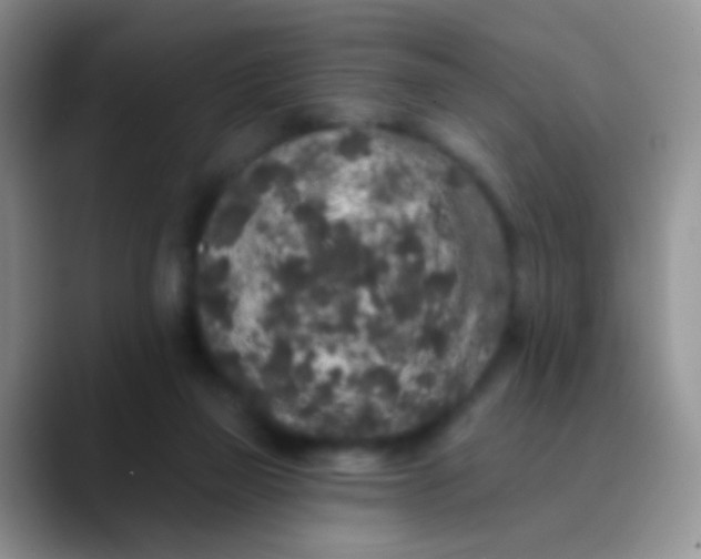 X0000089880165200707192003