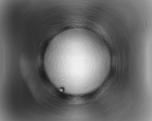 X0000089880173200707192003