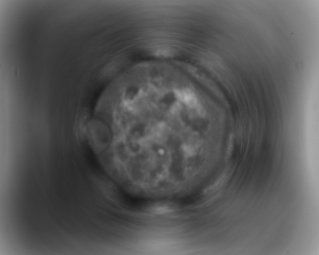 X0000089880175200707192003