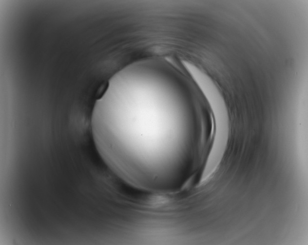 X0000089880176200707192003