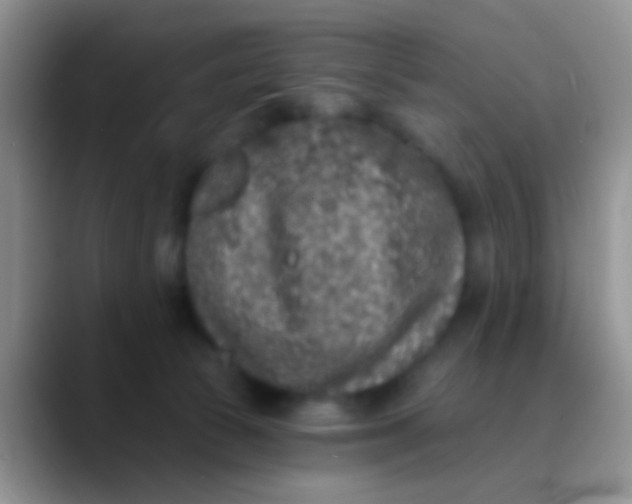 X0000089880177200707192003